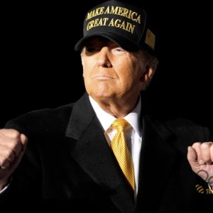 Donald Trump Gold Dark Maga Embroidered Baseball Hat 2024 beeteetalk 5